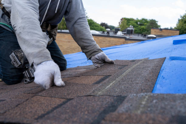 Best Roof Waterproofing Services  in Long Lake, IL