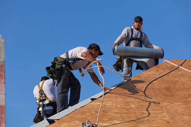 Best Commercial Roofing Services  in Long Lake, IL