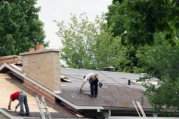 Professional Roofing Contractor in Long Lake, IL
