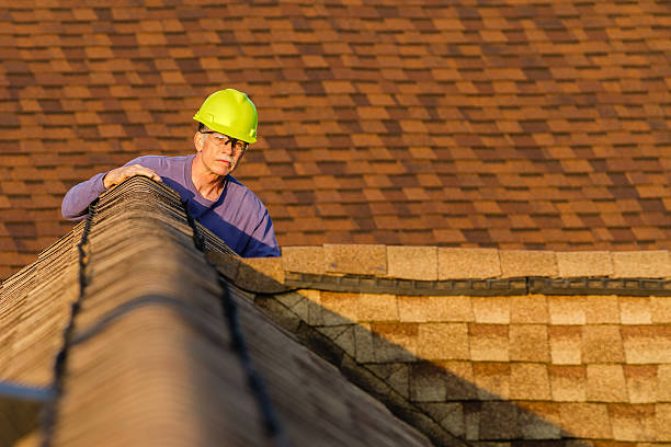 Best Roof Maintenance Services  in Long Lake, IL