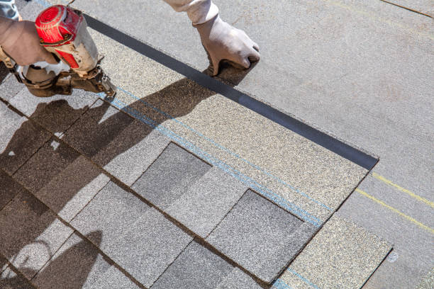 Best Flat Roof Repair Services  in Long Lake, IL