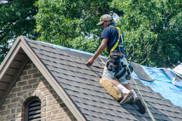 Best Roof Repair Services  in Long Lake, IL